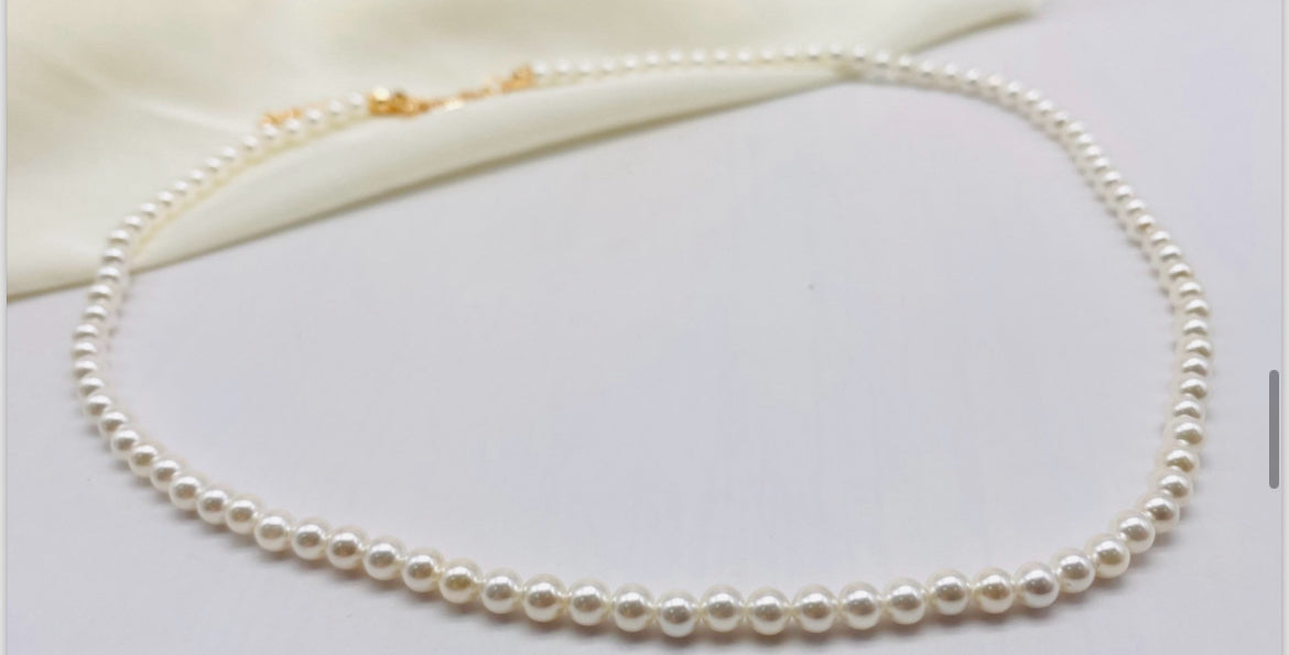 Cadena ref D282