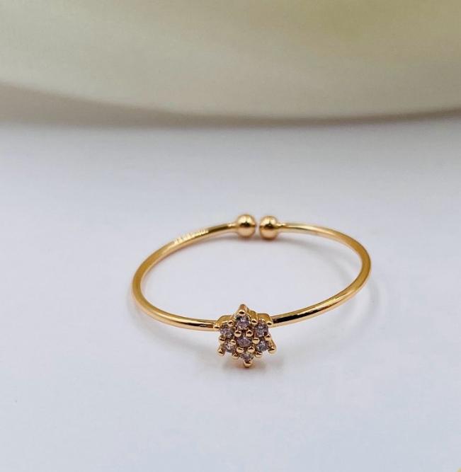 Anillo ref 2578