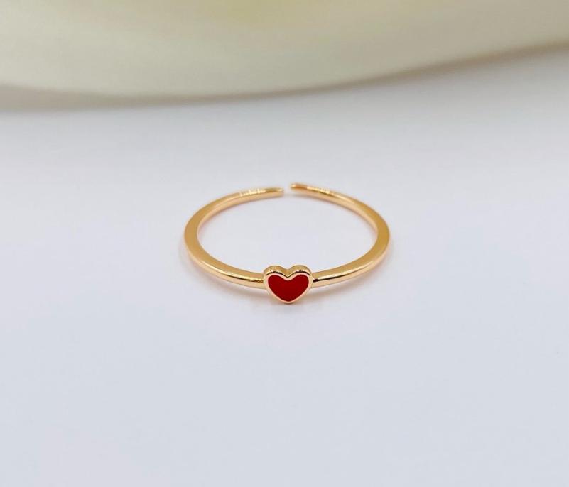 Anillo ref 69