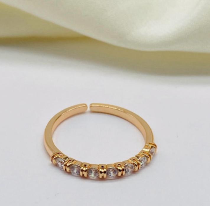 Anillo ref 10119
