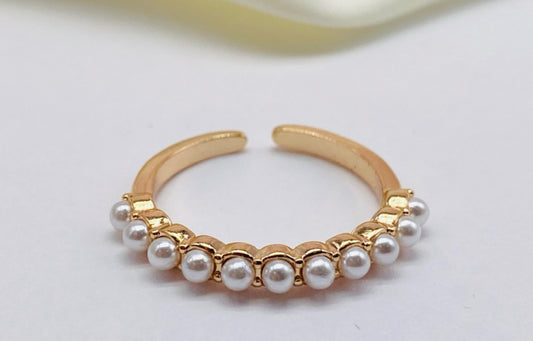 Anillo ref 9696