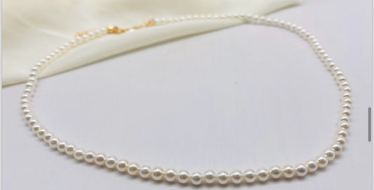 Cadena ref D282