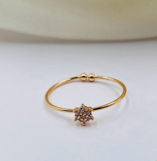 Anillo ref 2578