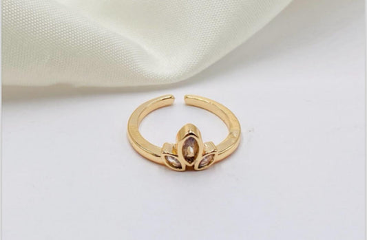 Anillo ref 173