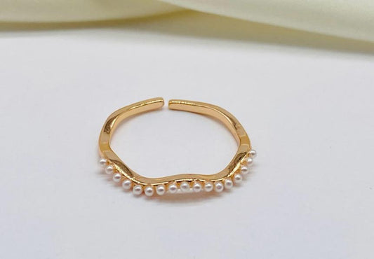 Anillo ref 10190