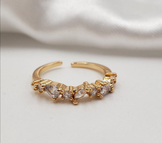 Anillo ref 099