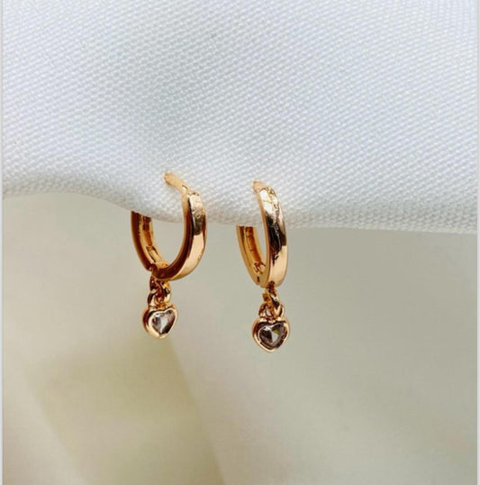 Cndonga ref 1195