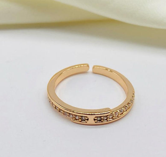 Anillo ref 10107