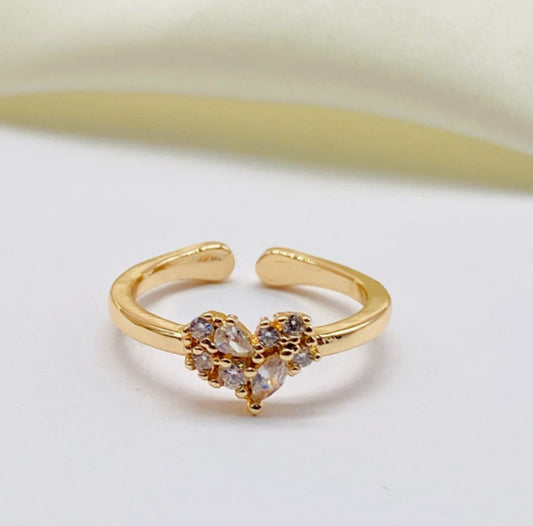 Anillo ref 2547