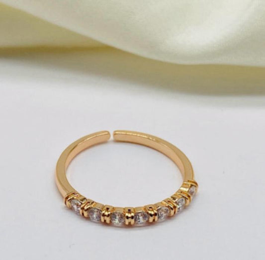 Anillo ref 10119