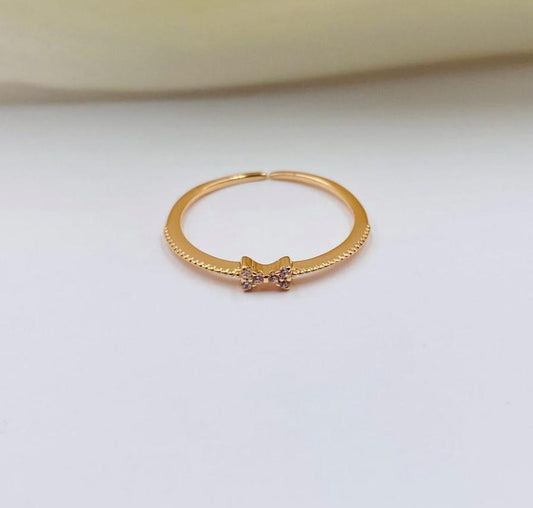 Anillo ref 9795